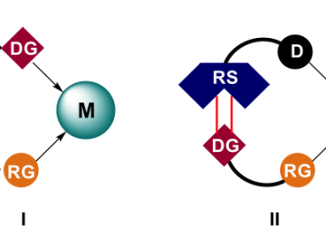 substrate-orientation-effects-in-catalysis-1